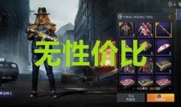 新军需皮肤爆料最新,炫酷造型，等你来战！